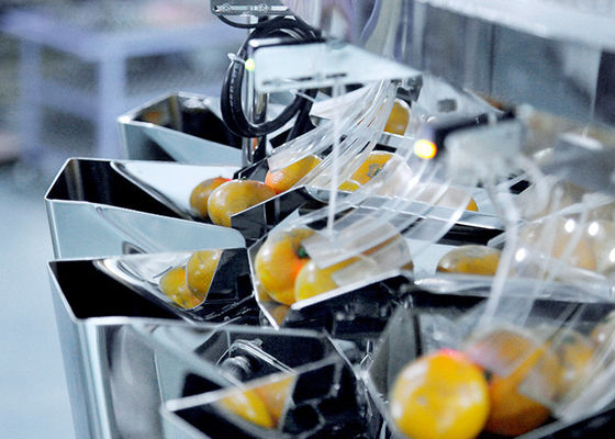 Multihead Weigher Packing Machine For Counting Tea Bags